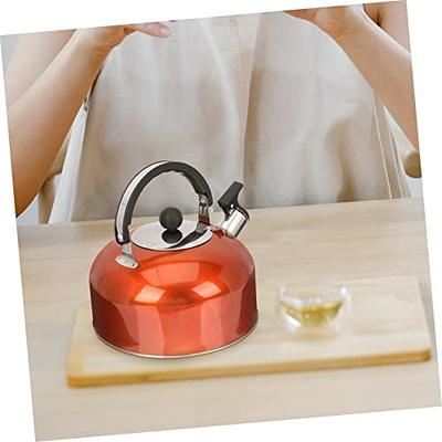 VOSAREA Kettle Portable Stove Burner Portable Water Kettle Camping Cooking Stove  Kettle for Induction Cooktop Tea Pots for Loose Tea Flat Bottom Teapot Home  Teakettle Stainless Steel - Yahoo Shopping
