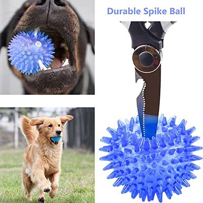 Indestructible Squeaky Dog balls Puppy Toys, Squeaky Dog Toys Puppy Chew  Toys for Teething, Interactive Dog Toys for Small Dogs, Puppy Teething Toys