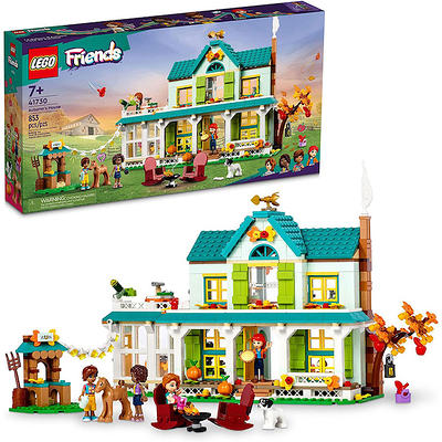 Timber Planks 300 Piece Set - Best for Ages 3 to 8