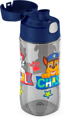 Thermos Kids Stainless Steel Vacuum Insulated Funtainer straw bottle, Paw  Patrol, 12 fl oz 