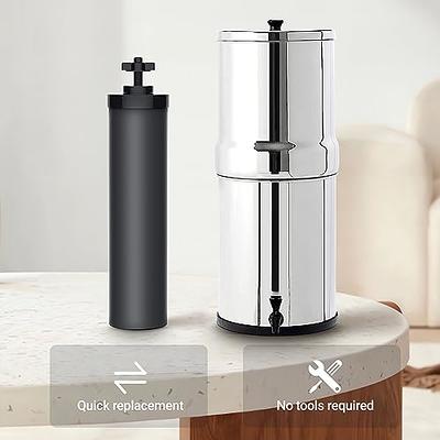 OEMIRY Countertop Water Filtration System Reduces 99%,NSF/ANSI (1 Filter  Includ)