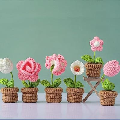 Beginner Crochet Kit, Crochet Kit for Starter,3 Pcs Mini Flowers Potted  Kit, Crochet Hooks Set, Crochet Kits with Step-by-Step Instructions and  Video