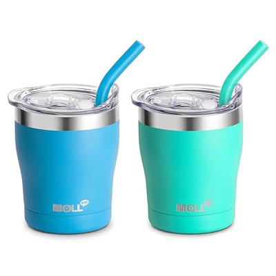 2-Pack Stainless Steel Tumbler Straws