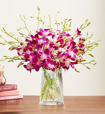 1-800-Flowers Flower Delivery Exotic Breeze Orchids 20 Stems W 