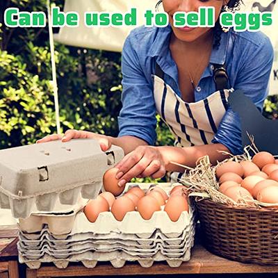 200 Pcs Pulp Egg Cartons Bulk Blank Natural Empty Egg Cartons One