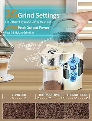 Kaffe Electric Coffee Bean Grinder w/Removable Cup & Cleaning Brush. Easy  On/Off Operation for Espresso, Cold Brew, Herbs, Spices, Nuts. (14 Cup /