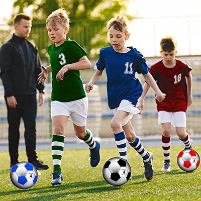 : AppleRound Pack of 4 Sports Balls with 1 Pump: 1 Each