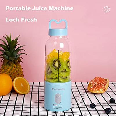 Portable Handheld Blender for Shakes and Smoothies, Personal Blender