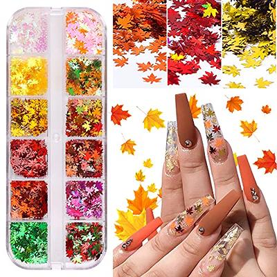 DouborQ Fine Glitter for Nails Sequins 6 Color Mixed Holographic Ultra Fine  Iridescent Glitter Powder Nail Art Flakes Sparkles Set Tips for Nail