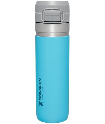 Stanley 24-fl oz Stainless Steel Insulated Cup in the Water Bottles & Mugs  department at