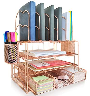 Spacrea Pink Desk Organizers and Accessories, File Organizer with 2 Pen  Holders,Paper Organizer for Desk Organizers and Storage, Office Desk