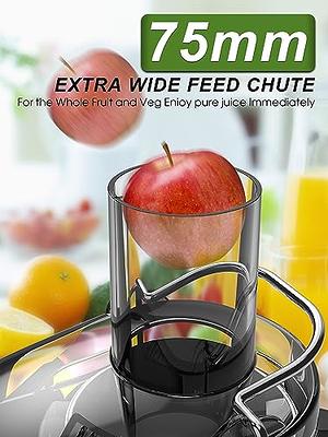 Centrifugal Juicer with 3'' Feed Chute, Stainless Steel, 3 Speed, Black -  Yahoo Shopping