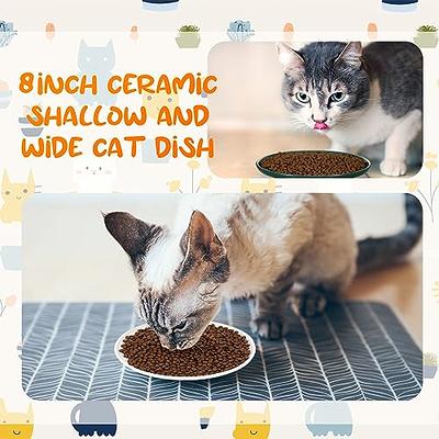 Small Ceramic Cat Food Bowl - Wide Shallow Cat Bowl with Non-Slip Mat -  Whisker Friendly Cat