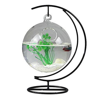 TREELF Complete Set of Negative Pressure Fish Tank Floating Betta Fish Tank  Mini Suspended Fish Bowl Ecological Aquarium with Landscaping and  Decoration for Small Space Living Room or Desktop - Yahoo Shopping
