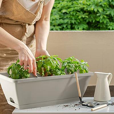 Box Of 12 Rectangular Plastic Storage Container With Pots