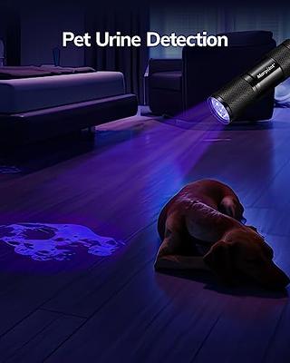 Morpilot UV Flashlight Black Light Flashlight Mini: 395nm Blacklight  Flashlights, 9 LED Pet Urine Detector Light for Dog/Cat, Dry Stains, Resin  Curing, Bed Bug - Yahoo Shopping