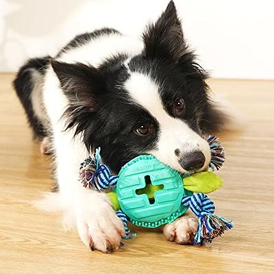 Hyper Pet Bumpy Palz 2-In-1 Interactive Dog Toys, Dog Chew Toys