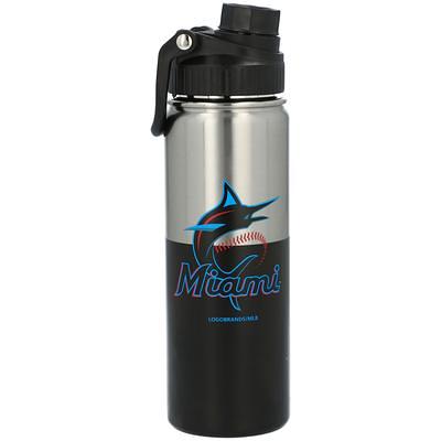 Miami Dolphins Personalized Shot and Flask Set