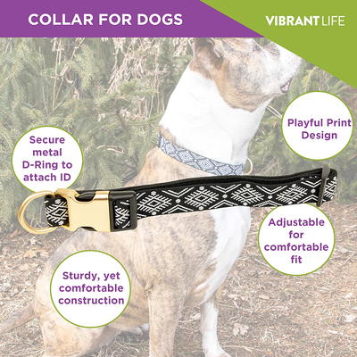 Vibrant Life, Dog Collars, Tribal Print Fashion Pet Collar, Multi-Color,  Size Medium - Yahoo Shopping