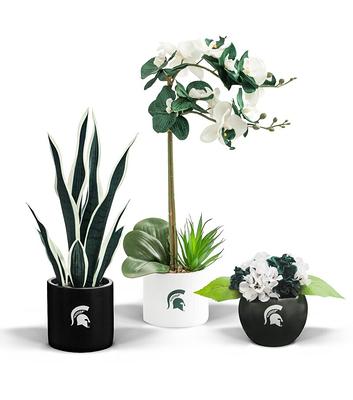 MSU Snake Plant, MSU Faux Snake Plant, MSU Gifts for Men, MSU