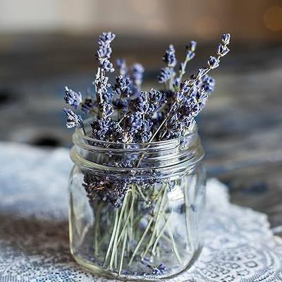 230+ Stems Dried Lavender Flowers Bundles, 3 Bunches Stems Natural Dry  Lavender Flowers Sprigs Stems 17 Dried Flowers for DIY Home Fragrance  Wedding