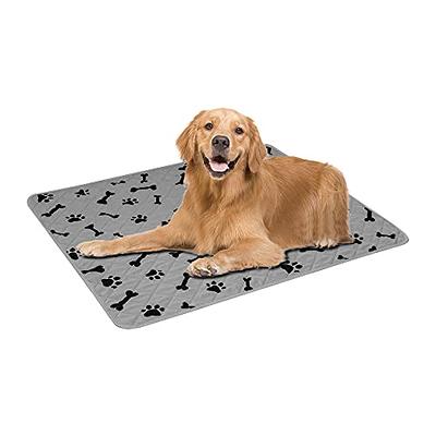 Machine Washable Pet Rug / Mat Bone Shaped Dog Rug / Mat Nonslip