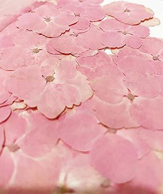 12 Pcs Dried Flower DIY Resin Craft Fillers Pressed Flowers 