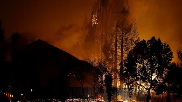 PHOTO: Trees burn behind houses in a residential area in Santa Rosa, Calif., Oct. 9, 2017. (Jeff Chiu/AP)