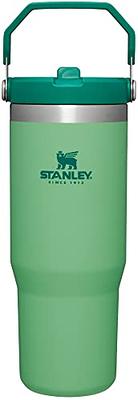 Stanley 24 oz. AeroLight IceFlow Bottle with Fast Flow Lid, Tigerlily -  Yahoo Shopping