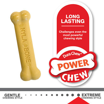 Nylabone Puppy Chew & Dura Chew Peanut Butter Bone Twin Pack Dog Toy, Small