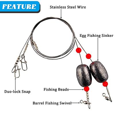 Fishing Egg Weights Rigs Catfish Rig Carolina Rigs for Fishing Saltwater  Flounder Rigs Fishing Bottom Rigs Fishing Leader with Weights Fishing Ready  Rigs for Grouper Fluke Trout Drum Redfish Fishing - Yahoo