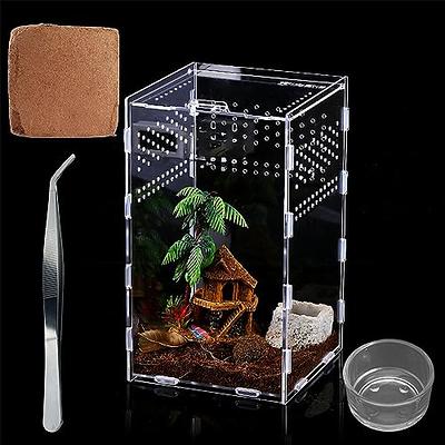 TREELF Micro Habitat Glass Container,Reptile Terrarium,Amphibian Tank  Starter Kit（4pc Set） Ideal for Snails, Beetles, Spiders, Chameleons,  Geckos, Scorpions(4.7 * 4.7 * 8 Inches) - Yahoo Shopping