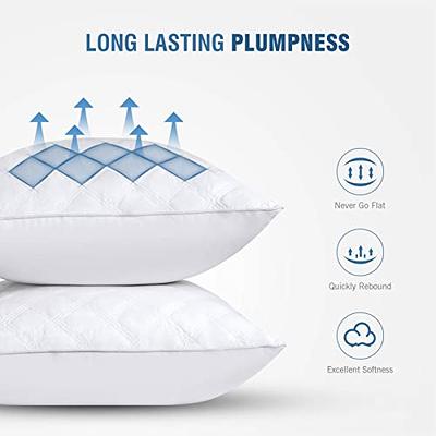  MyPillow Premium Bed Pillow Set of 2 King Firm : Health &  Household