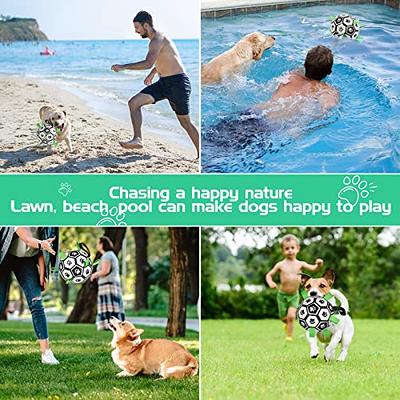 QDAN Dog Toys Socccer Balls with Straps, Interactive Durable Rubber Water  Chew Toys for Training Herding Balls Indoor Outdoor, Birthday Gifts for Tug