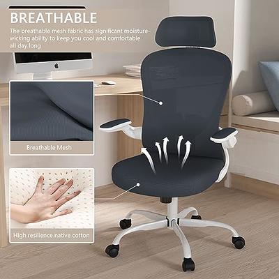 Office Chair, Ergonomic Desk Chair with Adjustable Lumbar Support, High  Back Mesh Computer Chair with Flip-up Armrests, Executive Chair for Home