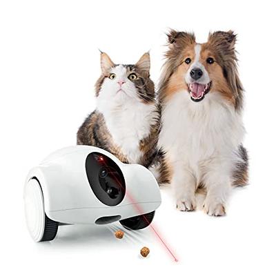 Wopet Interactive Dog Treat Camera and Treat Dispenser Toy WiFi | Guardian