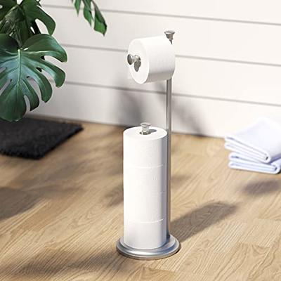 BWE Brushed Nickel Freestanding Double Post Toilet Paper Holder with Storage  in the Toilet Paper Holders department at