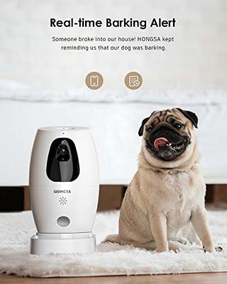 The WiFi Communicating Pet Treat Dispenser