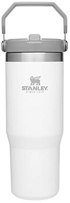 STANLEY IceFlow Stainless Steel Tumbler with Straw, Vacuum Insulated Water  Bottle for Home, Office o…See more STANLEY IceFlow Stainless Steel Tumbler