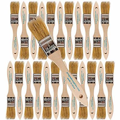 Pro Grade - Paint Brushes - 5 Ea - Paint Brush Set - Yahoo Shopping