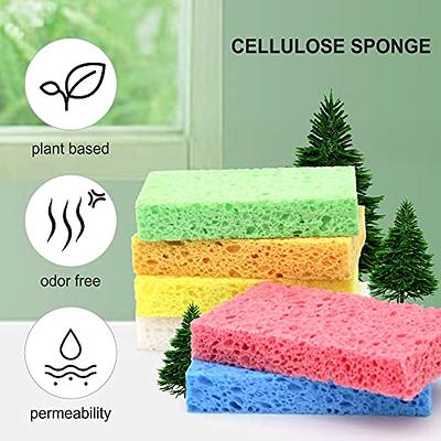 12-Count Kitchen Sponges- Compressed Cellulose Sponges Non-Scratch