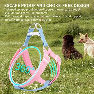 BEAUTYZOO No Pull Small Dog Harness and Leash Set, No Chock Puppy Step in  Vest Harness Nylon Lightweight Neck&Chest Adjustable for Dogs Girls and  Boy