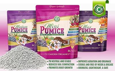 GARDENERA Horticultural Charcoal for Indoor Plants, Black Diamond Soil  Amendment for Orchids, Terrariums, and Gardening 