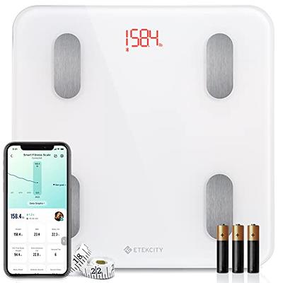 RENPHO Travel Scale for Body Weight, Mini Bathroom Scale for Body Fat,  Portable Elis Go Weight Scale for Traveling with Storage Case, 13 Body