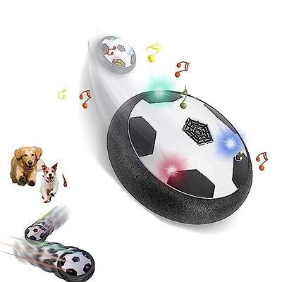 New Active Gliding Disc, Active Gliding Disc for Dogs with Cool Lighting  Effects, Interactive Gliding Disc Dog Toy – K.C. Corner Shop