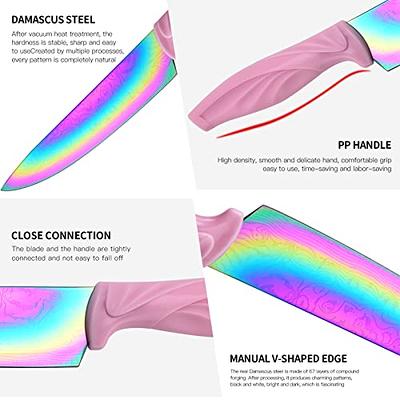 Rainbow Damascus Knife Set 6Pcs Non Stick Sharp Kitchen Knives Set with  Acrylic Block, Cutlery Knives Block Set, Chef Quality Best Gift Pink Handle  Rainbow Blade - Yahoo Shopping