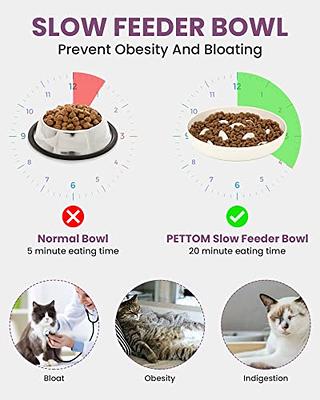 Fun Interactive Slow Feeder