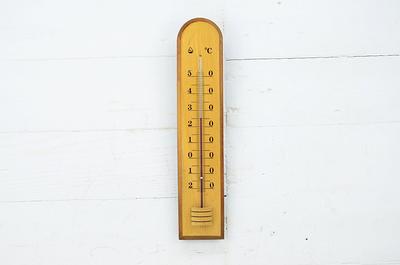 Outdoor Thermometer-Thermometer for Outside Temperature - Metal Stake  Thermometer and Hygrometer Outdoor Garden Decor Butterfly and Leaf - Yahoo  Shopping