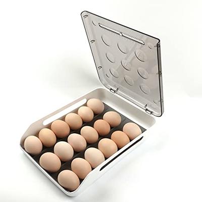 SEESPRING Egg Holder for Refrigerator, 18 Egg Container For Refrigerator,  Egg Fresh Storage Box for Fridge, Egg Storage Tray Organizer Bin, Clear  Plastic Storage Container (1 Layer) - Yahoo Shopping