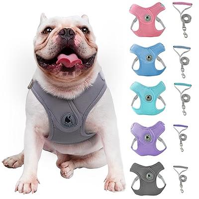 PoyPet Dog Harness and Leash Combo, Escape Proof No Pull Vest Harness,  Reflective Adjustable Soft Padded Pet Harness with Handle for Small to  Large Dogs 